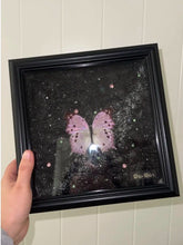 Butterfly Specimen Frame - Style 1